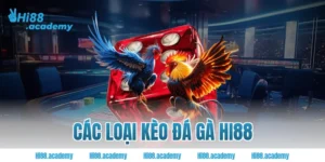 các loại kèo đá gà Hi88