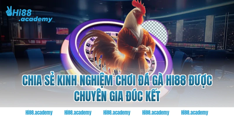 Chia sẻ kinh nghiệm chơi đá gà Hi88 được chuyên gia đúc kết