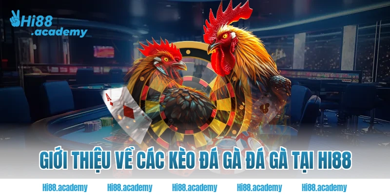 Giới thiệu về các kèo đá gà đá gà tại hi88
