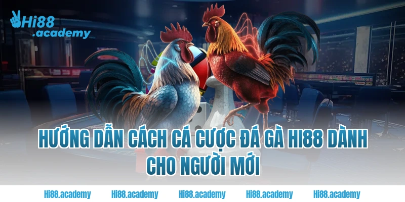 Hướng dẫn cách cá cược đá gà Hi88 dành cho người mới