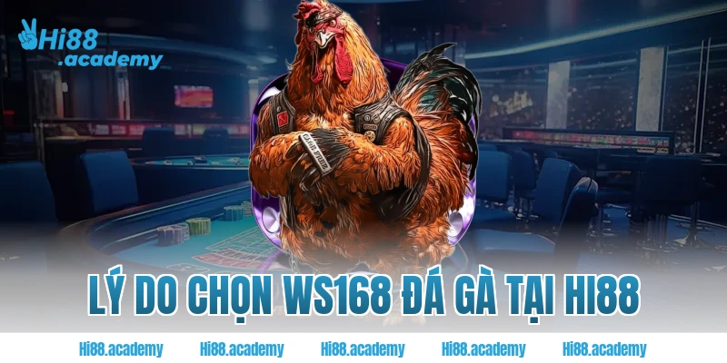 Lý do chọn WS168 ĐÁ GÀ tại Hi88 